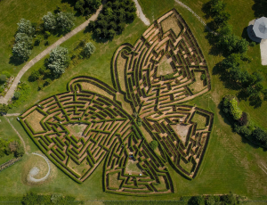 vue aérienne du labyrinthe végétal géant en forme de papillon des Jardins de Colette