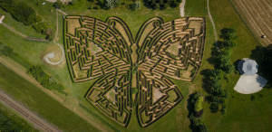 vue aérienne du labyrinthe végétal géant en forme de papillon des Jardins de Colette