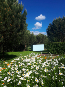 vue sur une plairie fleurie des Jardins de Colette au premier plan puis la chambre à dormir dehors bleue entourée de pins cotiers