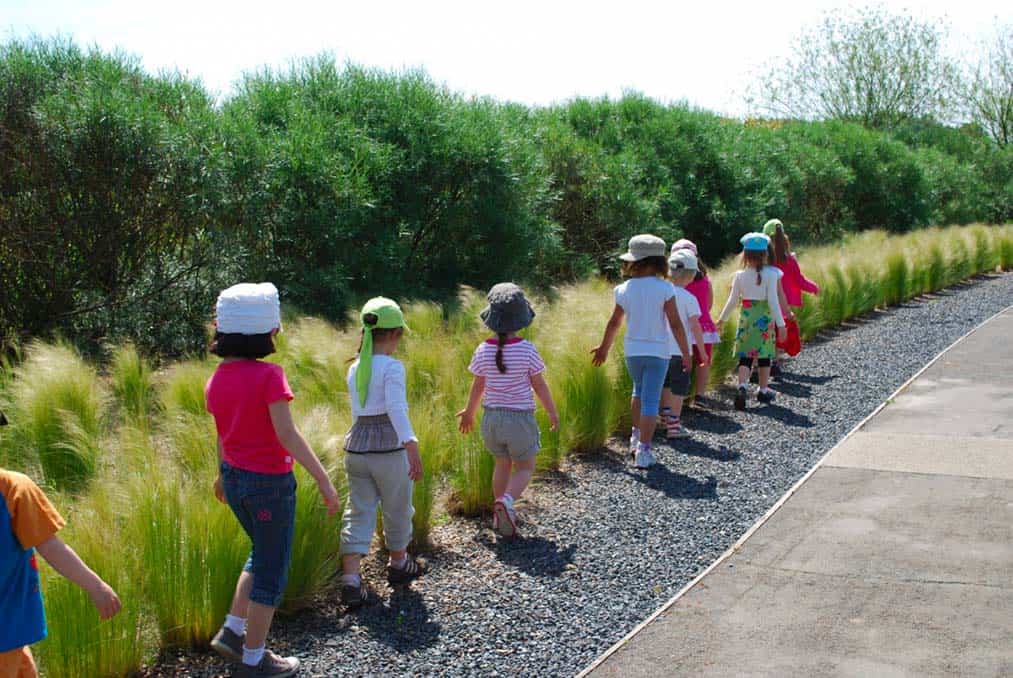 un groupe d'enfants se promène en file indienne en touchant des grandes herbes Stippa aux Jardins de Colette