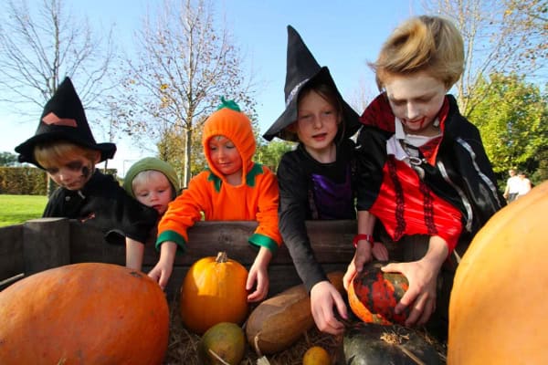 Des enfants déguisés pour Halloween attrapent des citrouilles aux Jardins de Colette