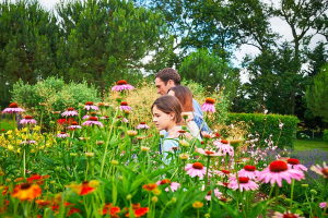 une famille se promène au milieu des parterres fleuris du jardin Provençal des Jardins de Colette