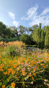 massif fleuris dans le jardin de Provence aux Jardins de Colette