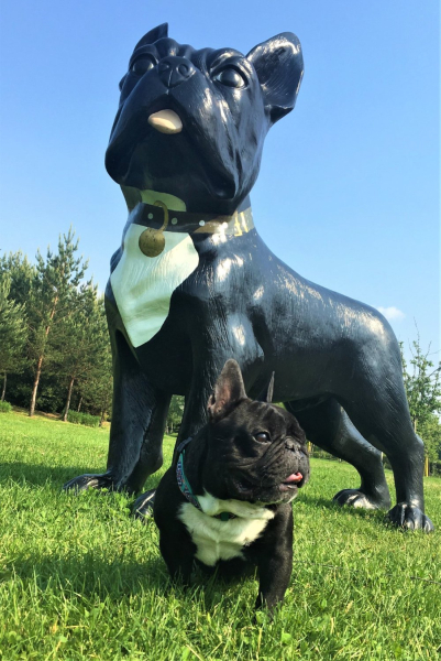 bouledogue français devant statue géante bouledogue aux Jardins de Colette