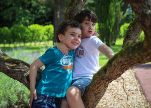 deux garçons prennent la pose assis dans les oliviers des jardins de Colette