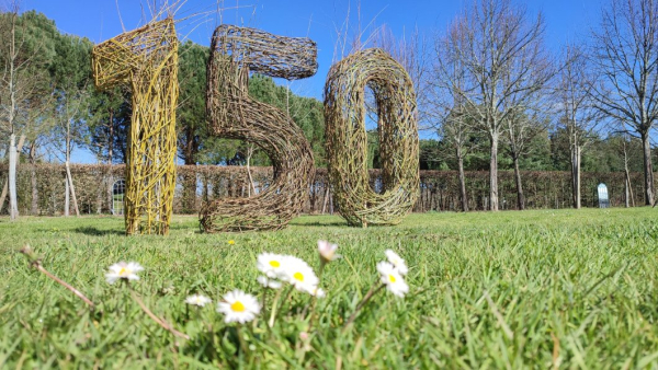 sculpture saule tressé 150 ans naissance de Colette