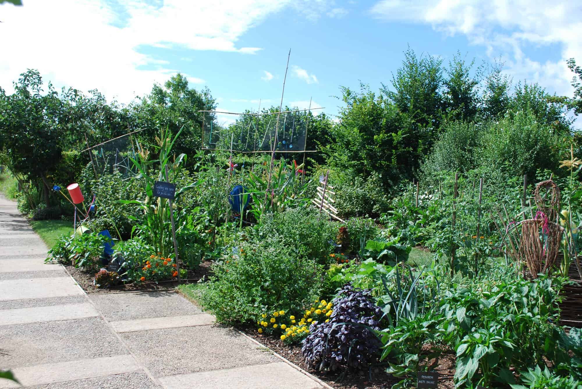 Le potager des Jardins de Colette