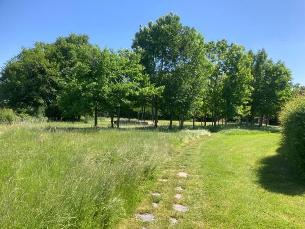 Exemple de tonte raisonnée pratiquée par les Jardins de Colette.