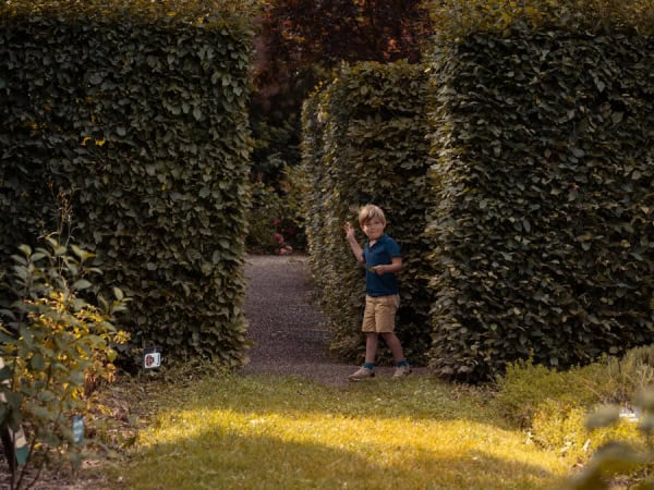 Enfant sortant d'une haie à l'air interrogatif. Jardins Palais ROyal