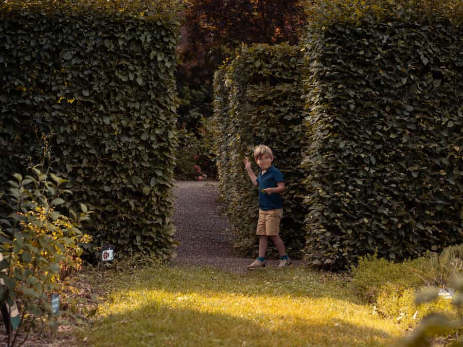 Enfant sortant d'une haie à l'air interrogatif. Jardins Palais ROyal